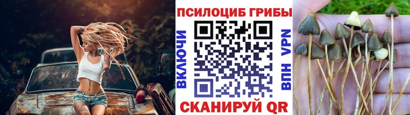 мориарти как зайти  Александровск  Галлюциногенные грибы мухоморы 